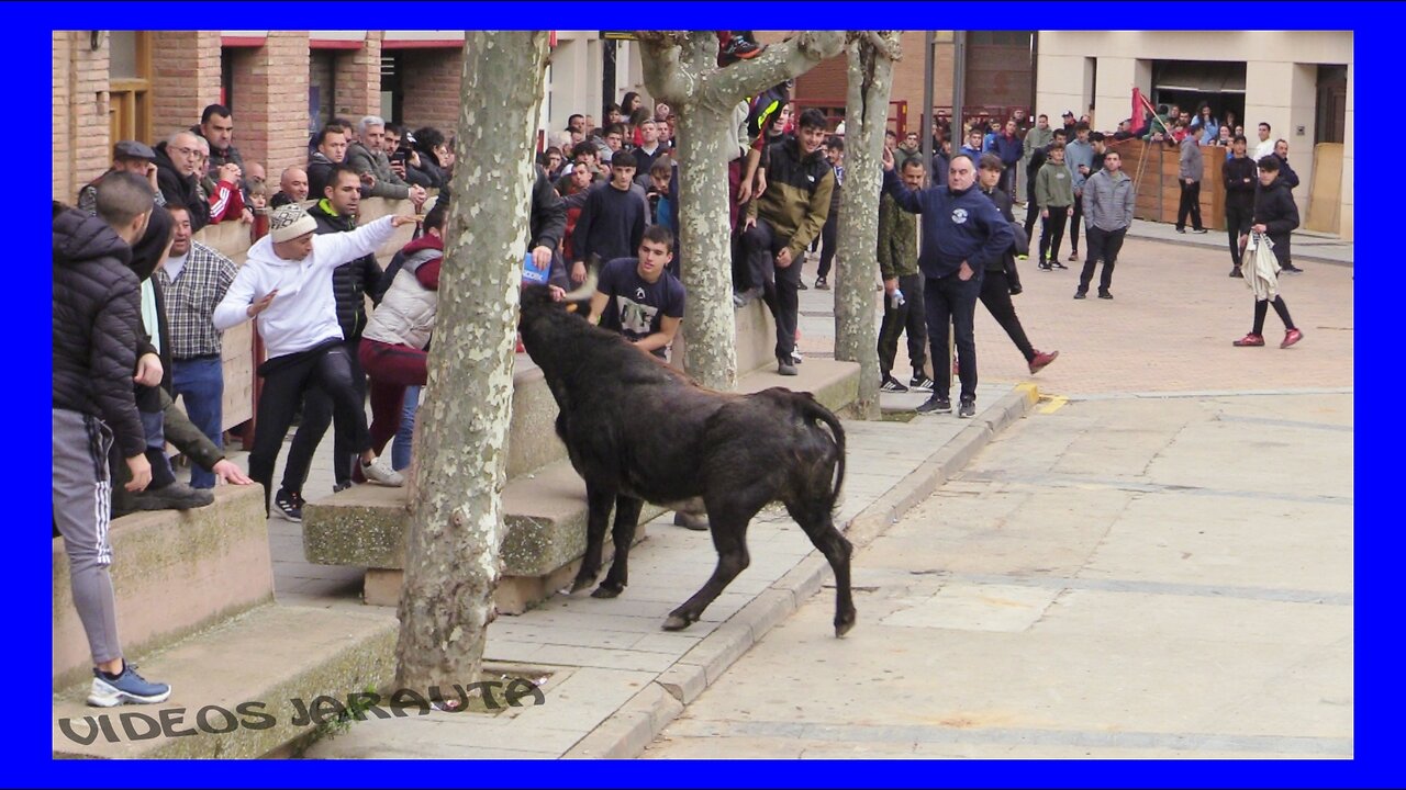 ALDEANUEVA DE EBRO ( LA RIOJA ) MATINAL ( LUNES 2 ENERO 2023 ) SANTOS ZAPATERIA