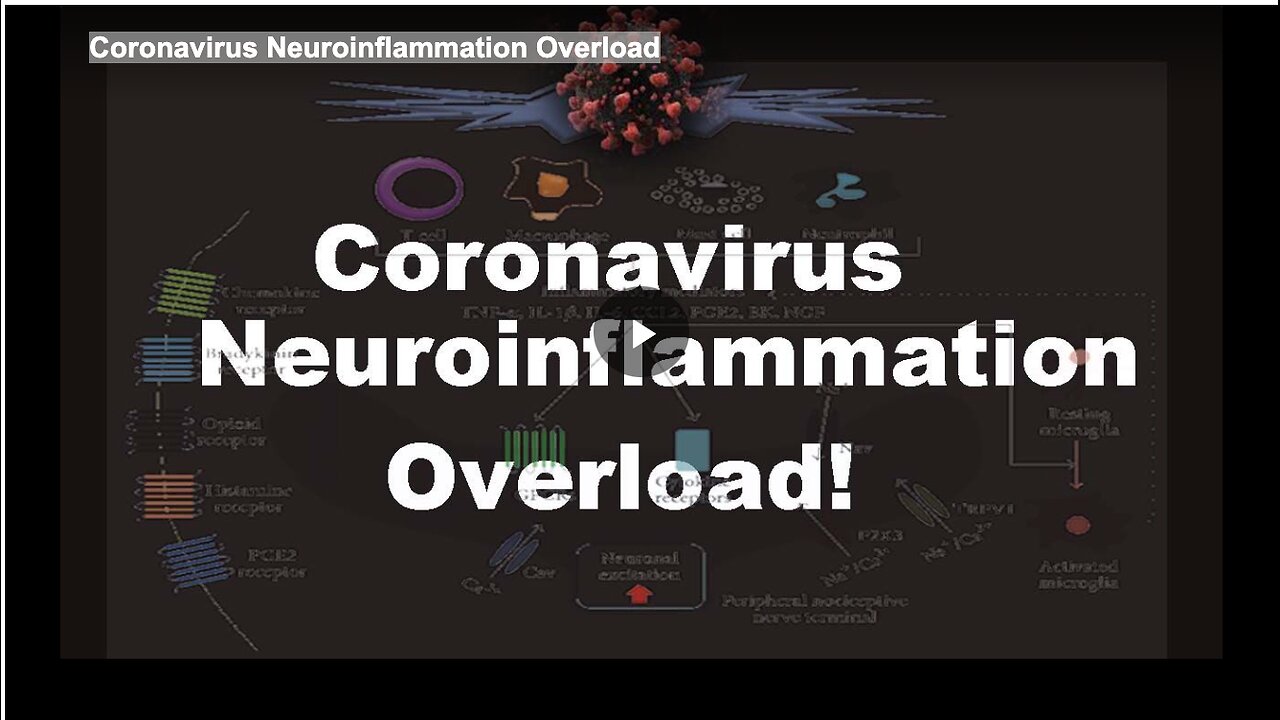 Coronavirus Neuroinflammation Overload