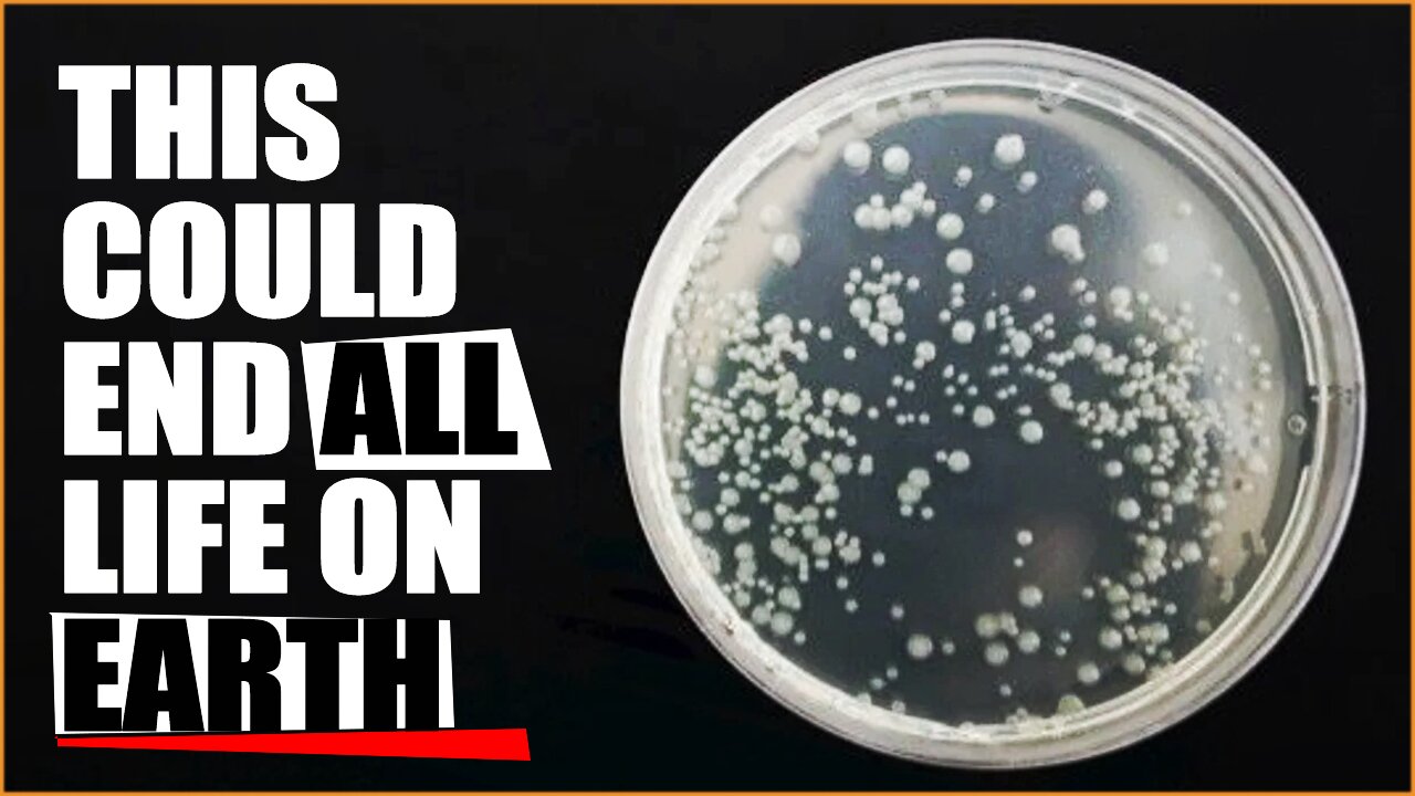 Scientists Warn of DANGEROUS Lab Created Bacteria That Could Wipe Out Ecosystems!!