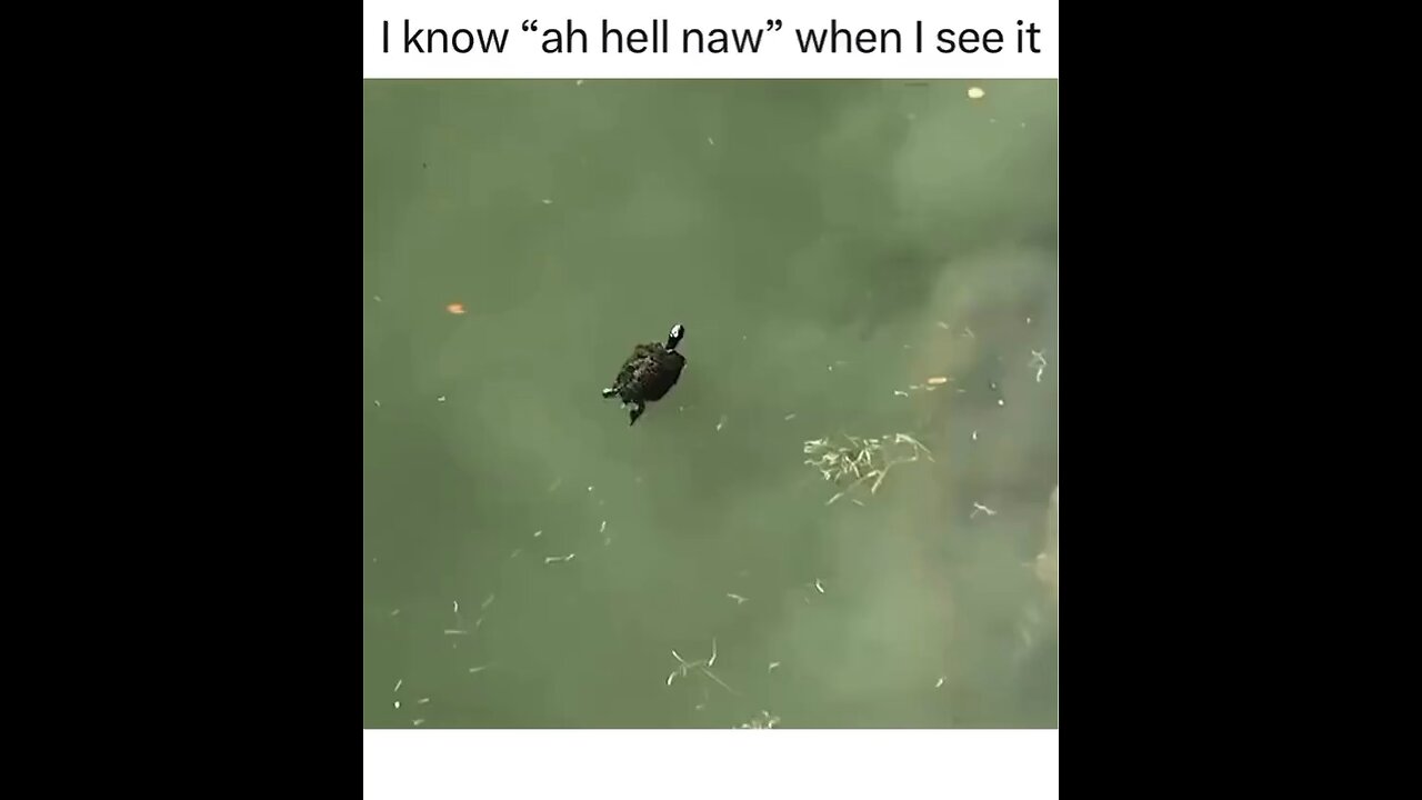 Bye byeee
