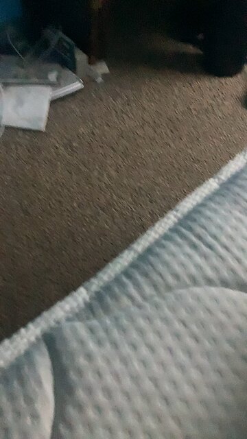 Awful pun 4(?) electric boogaloo