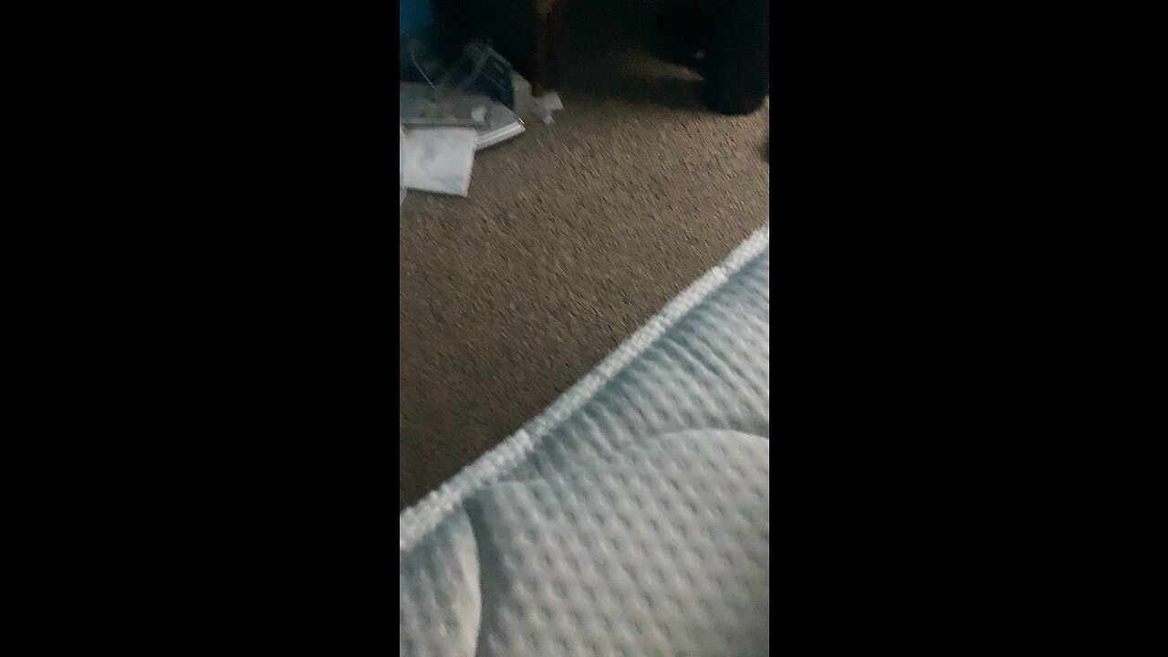 Awful pun 4(?) electric boogaloo