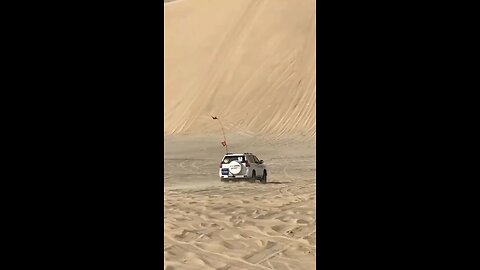 Desert king