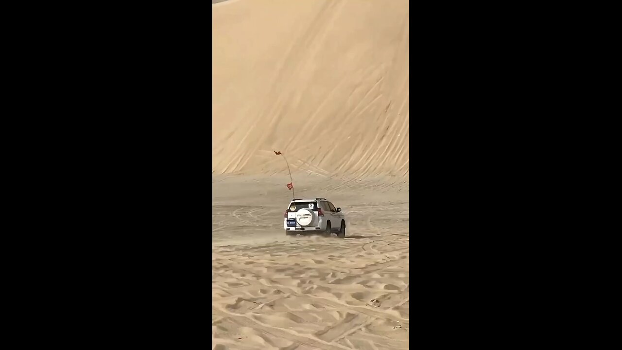 Desert king
