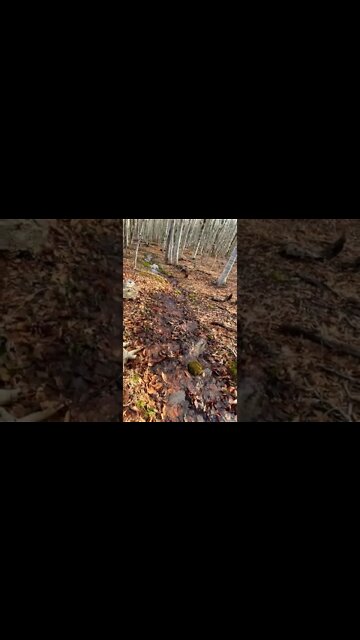 All the water from snow melting