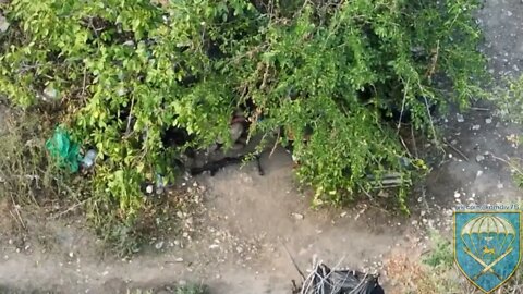 Russian paratroopers are conducting reconnaissance of the AFU positions in Sukhoi Stavka in the Kher
