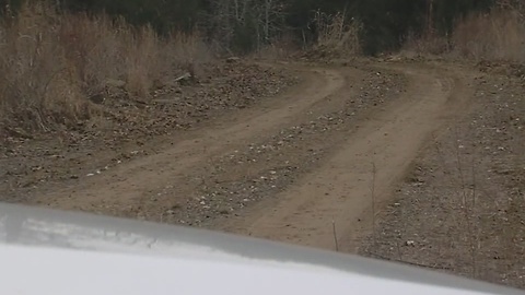 Sheriff Believes Pittsburg County Body Is Missing Haileyville Woman