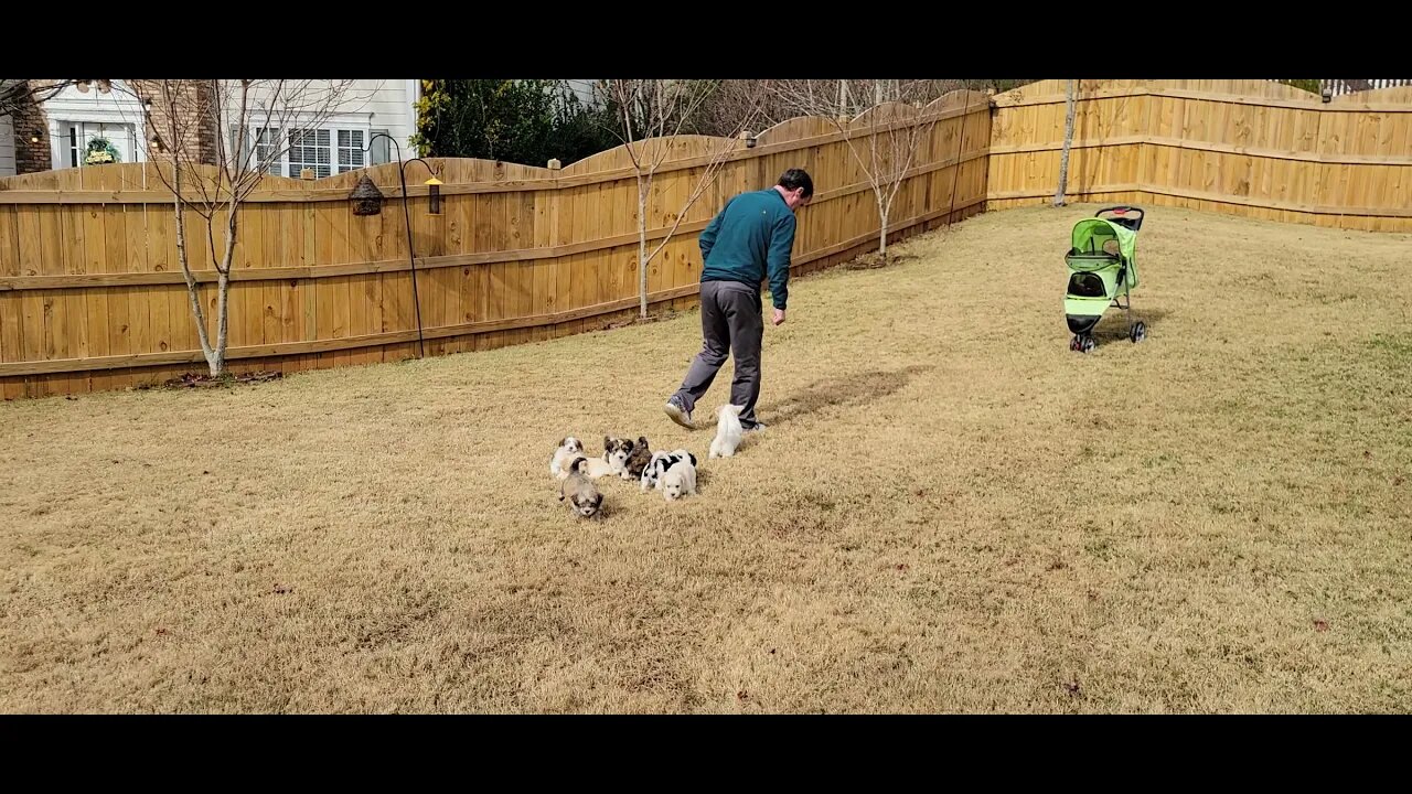 P & Q - First Time Outside(1)