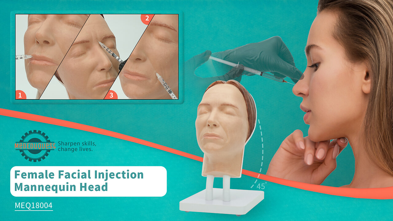 Female Facial Injection Mannequin Head - Sara Model