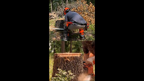 Back bar for your delight - Echo CS620PW Chainsaw