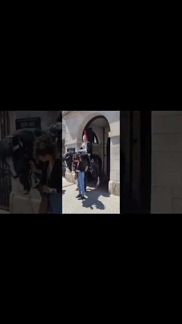 Naughty horse #horseguardsparade