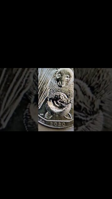 2020 Quarter Sells Again for Good Money! #shorts #coins #money