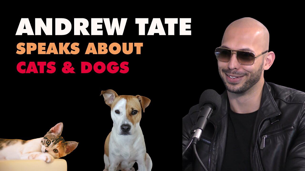 Andrew Tate speaks on Cats and Dogs