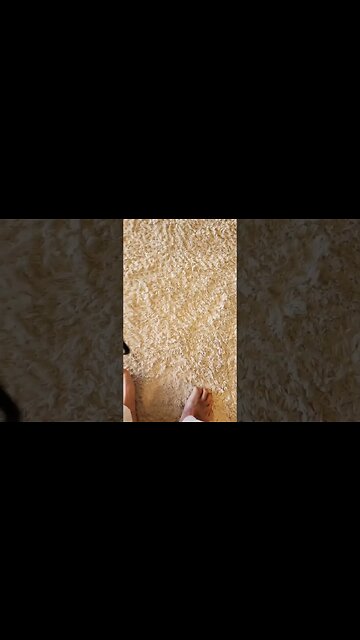 Nosh on the flattop box