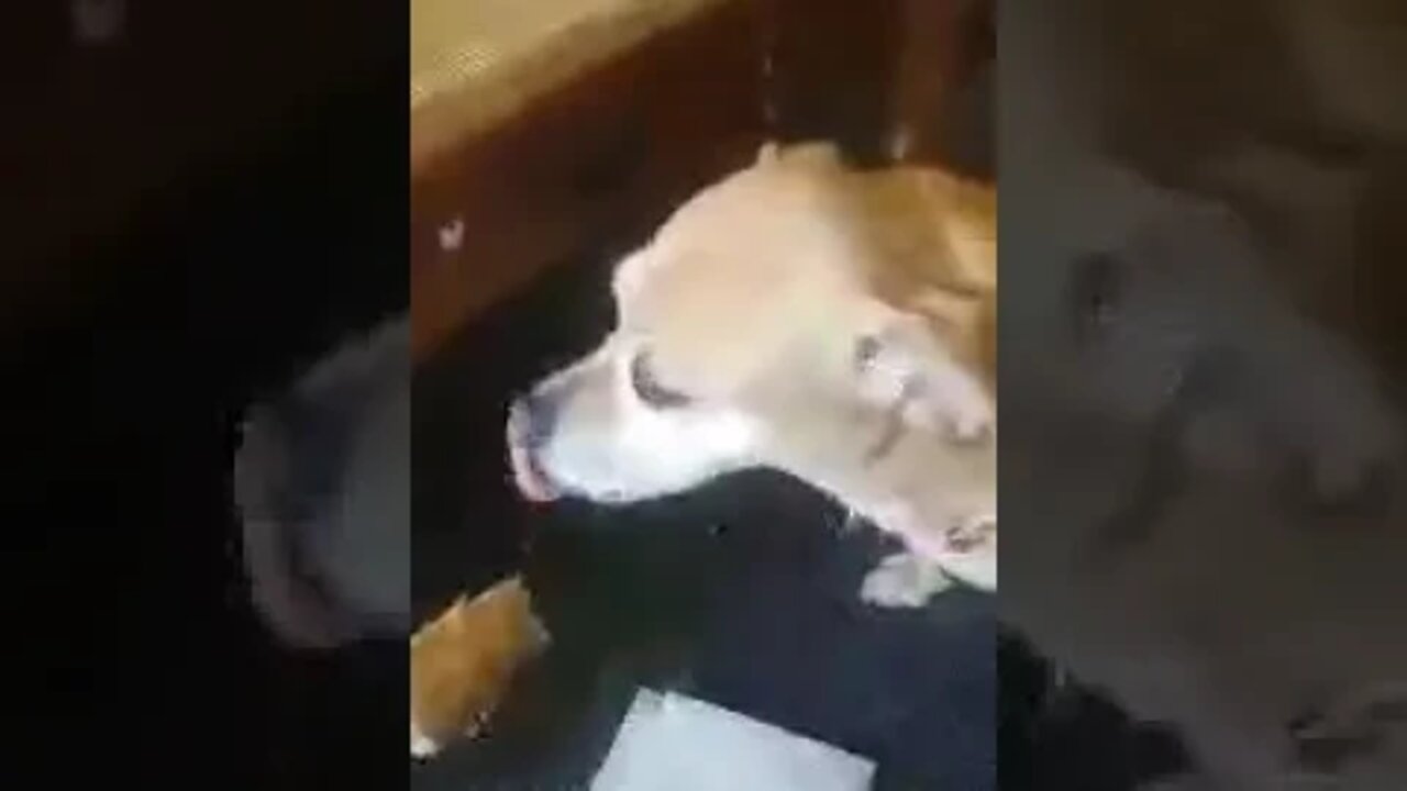 Get your peanut butter