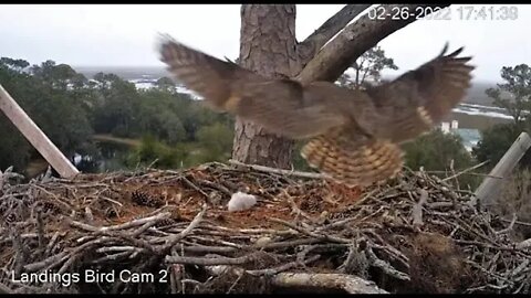 Mom's PM Leave & Return-Cam Two 🦉 2/26/22 17:37