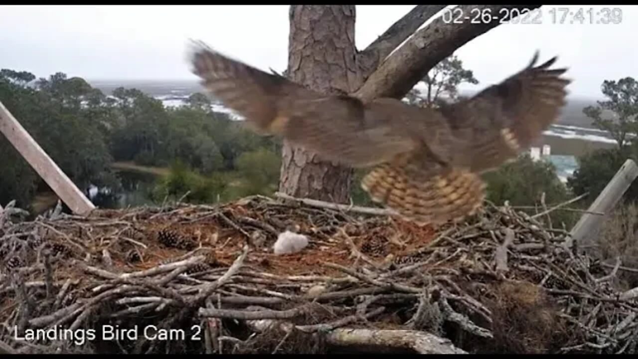 Mom's PM Leave & Return-Cam Two 🦉 2/26/22 17:37