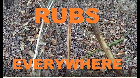 RUBS EVERYWHERE - WHO_TEE_WHO