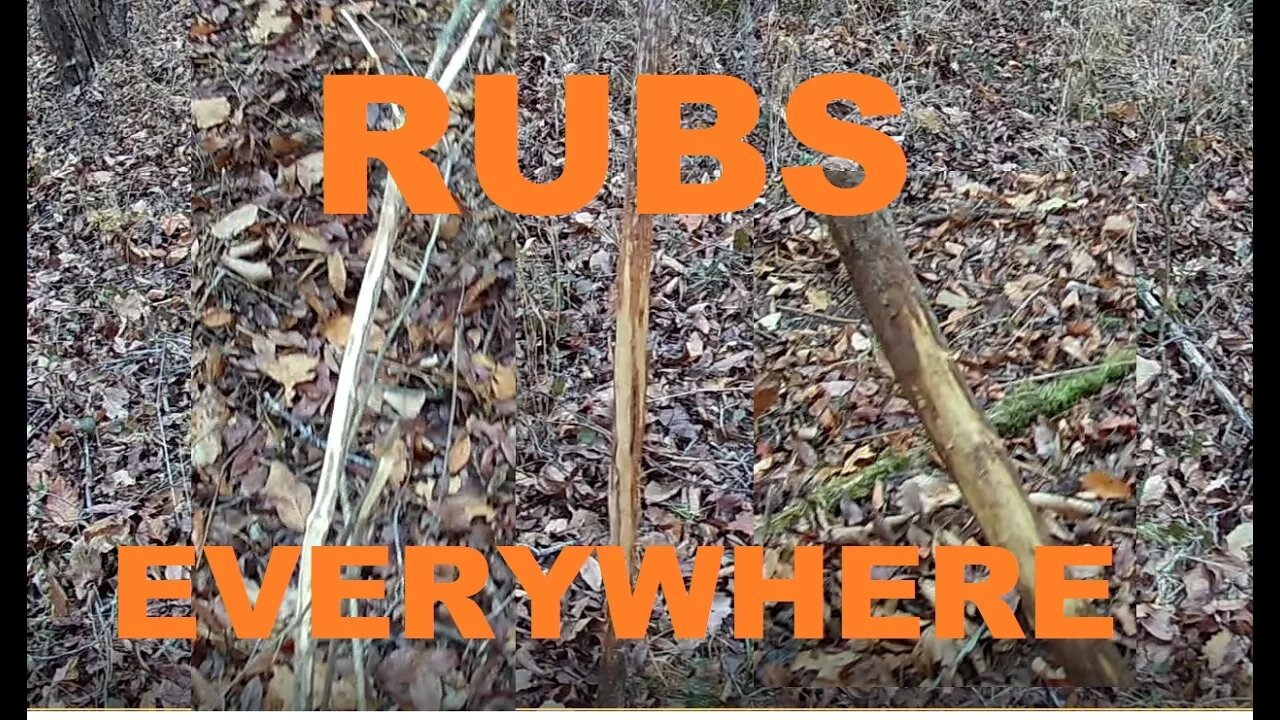 RUBS EVERYWHERE - WHO_TEE_WHO