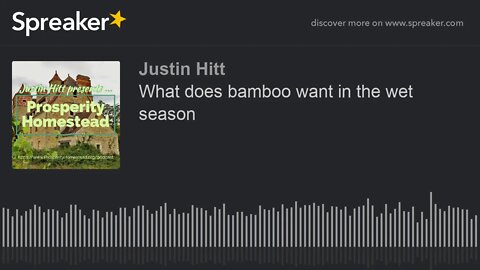 What does bamboo want in the wet season
