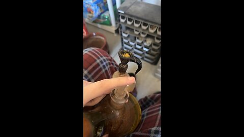 Day 5 The Beautiful People