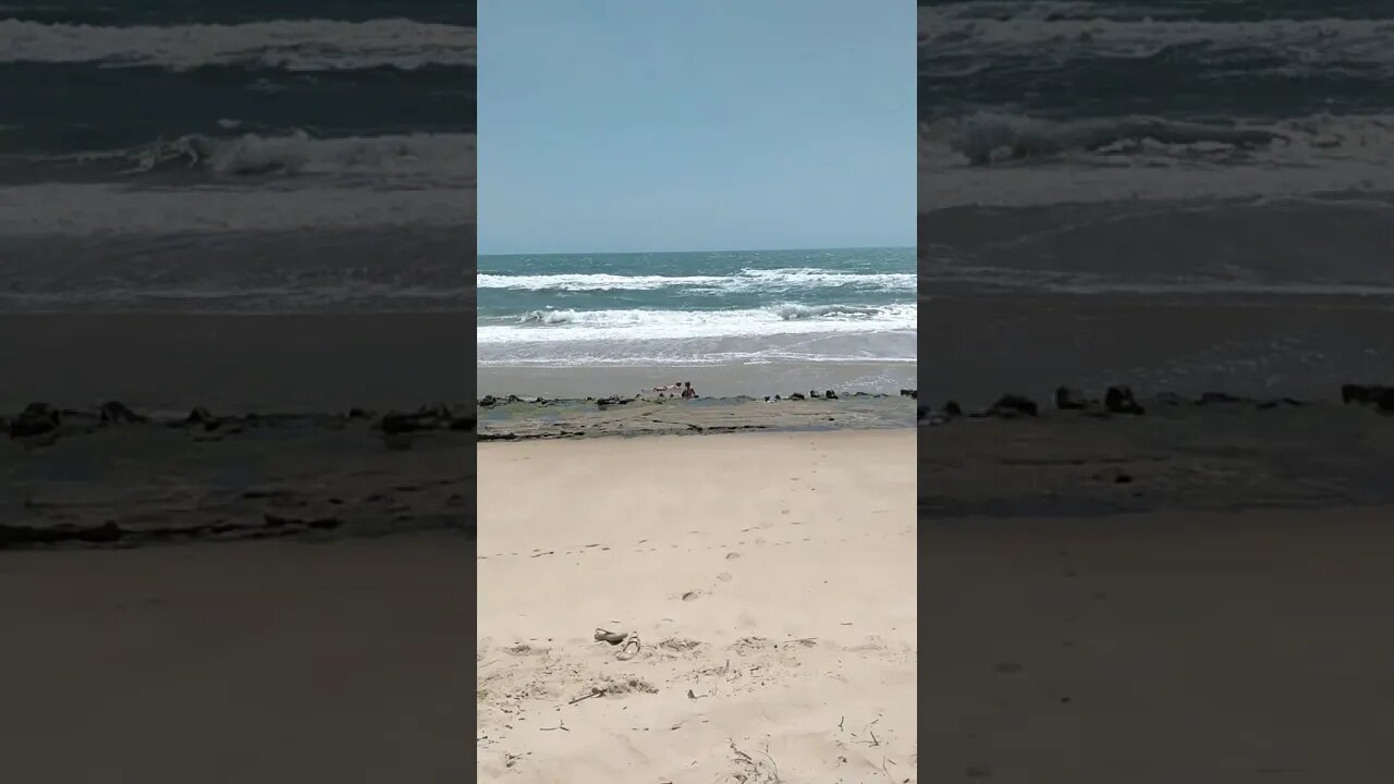 Dunas de sabiaguaba 2