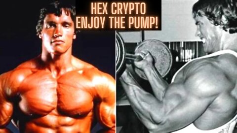 Hex Crypto Enjoy The Pump! Crypto & Stock Market Update!