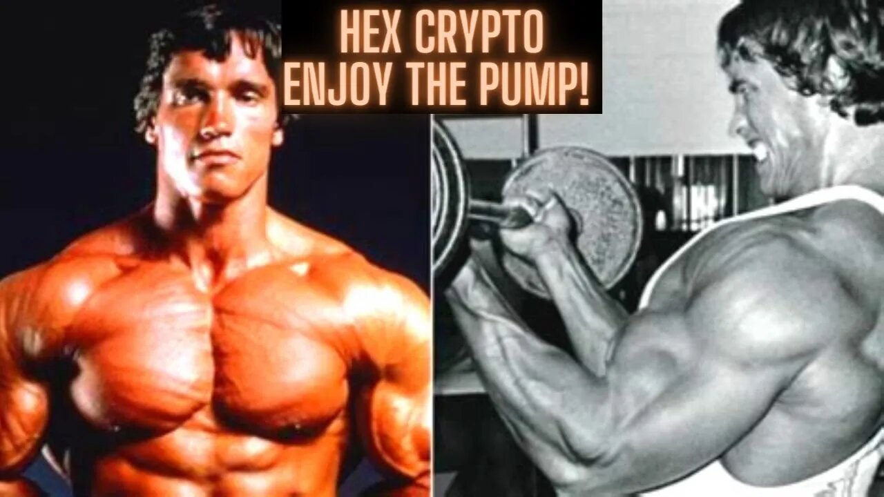 Hex Crypto Enjoy The Pump! Crypto & Stock Market Update!