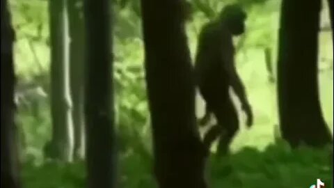 What cryptid is this?