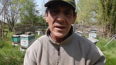 Création d'une nouvelle chaine. Cavernator et les abeilles.
