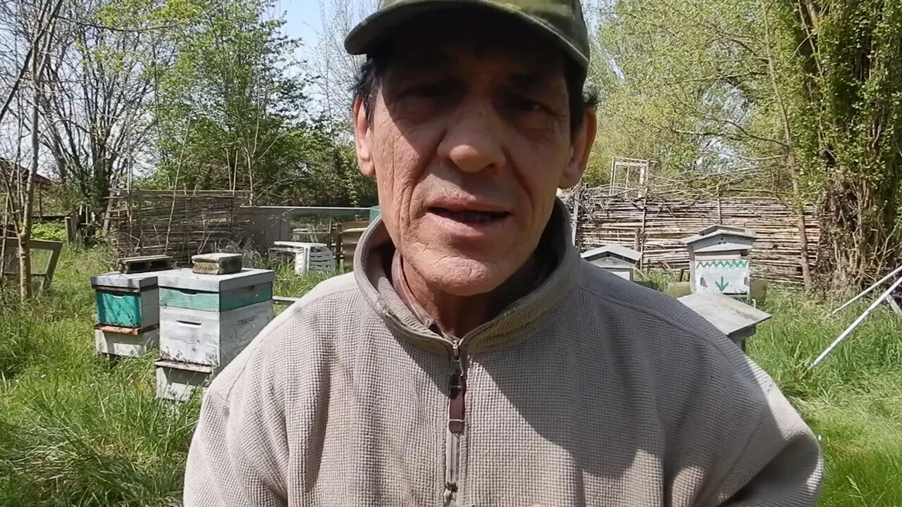Création d'une nouvelle chaine. Cavernator et les abeilles.