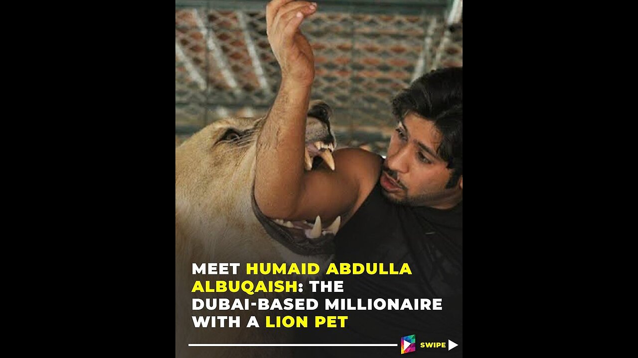 Dubai Millionaire Humaid Abdulla tries to Tame his Pet Lion