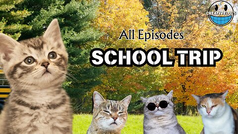 School Trip Cat Memes That Will Make You LOL! 🐾🎒