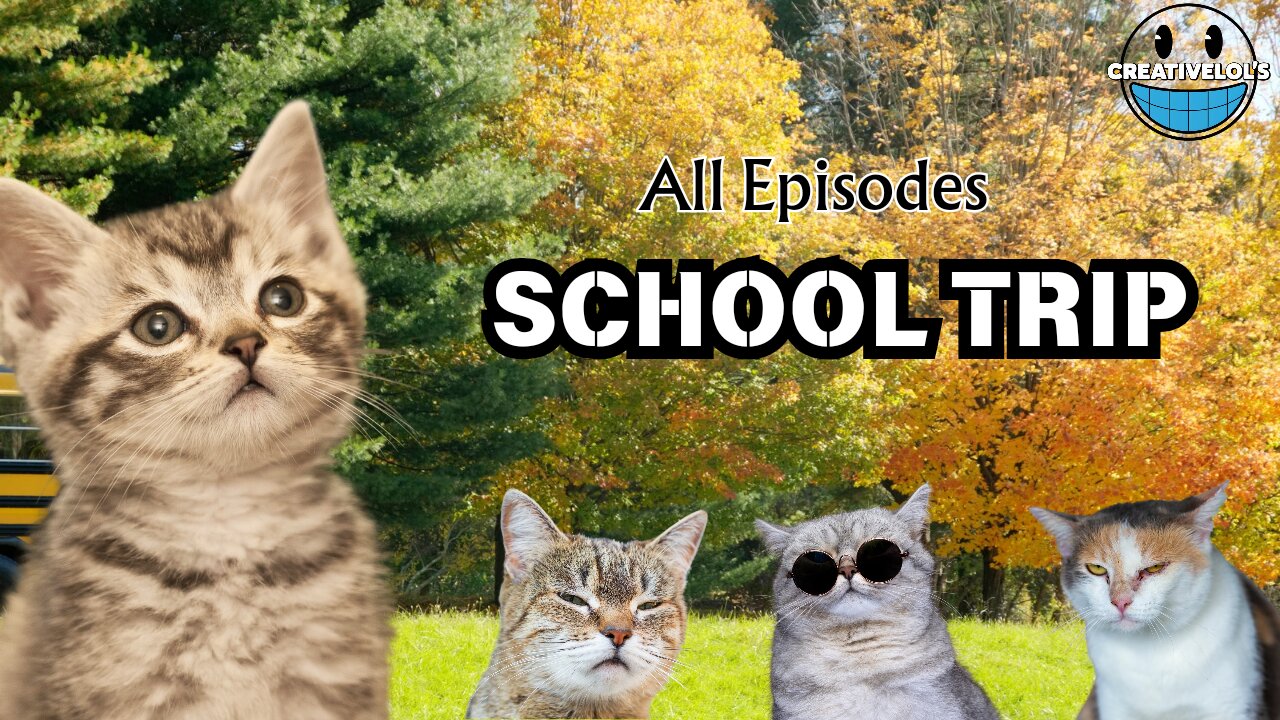 School Trip Cat Memes That Will Make You LOL! 🐾🎒