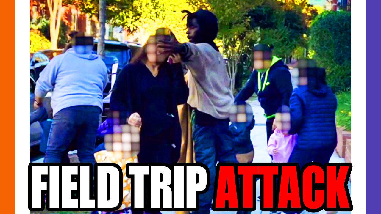 Teachers Get Beat Up During A Field Trip