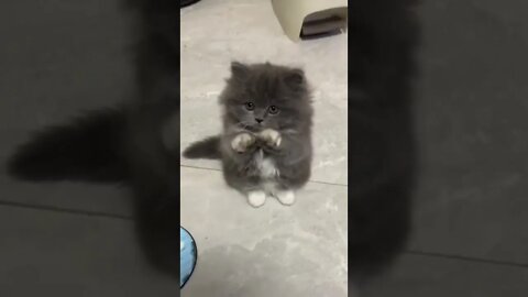 QUANDO SUA MÃE DIZIA QUE VOLTARIA NA LOJA PRA COMPRAR AQUILO QUE VOCÊ QUERIA😅😅😅