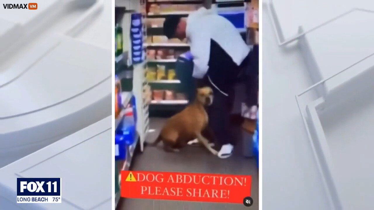 Thugs Attack A Woman At 7-Eleven And Steal Her Dog In Lost Angeles