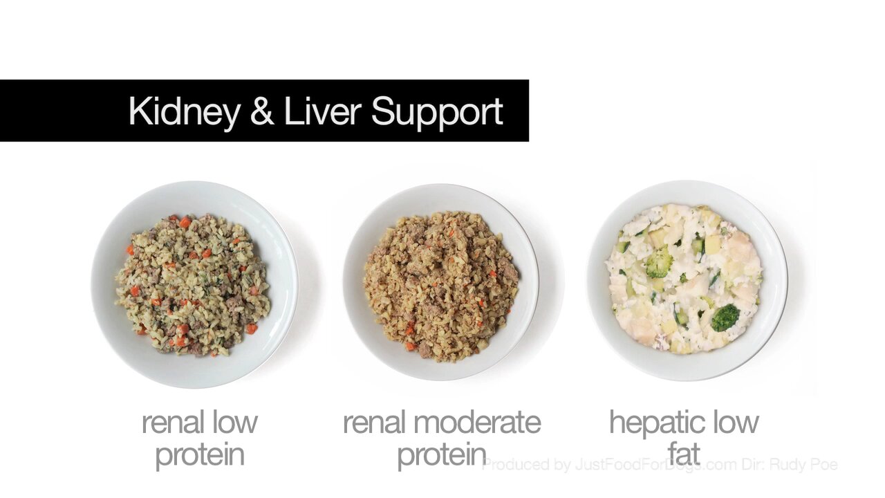 Support Diets For Dogs: Kidney & Liver Support