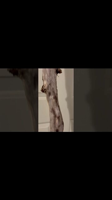 Project Surfin Stick. Part 1.5