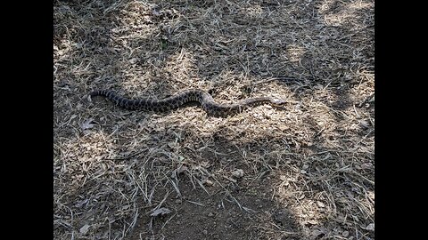 Day 12-14 - Pacific Crest Trail 2024 - Acton to Vasquez Rocks to Agua Dulce and beyond