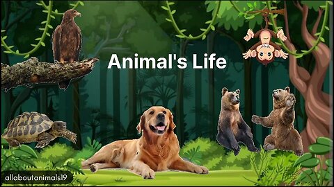 Animals Life Of Asia !