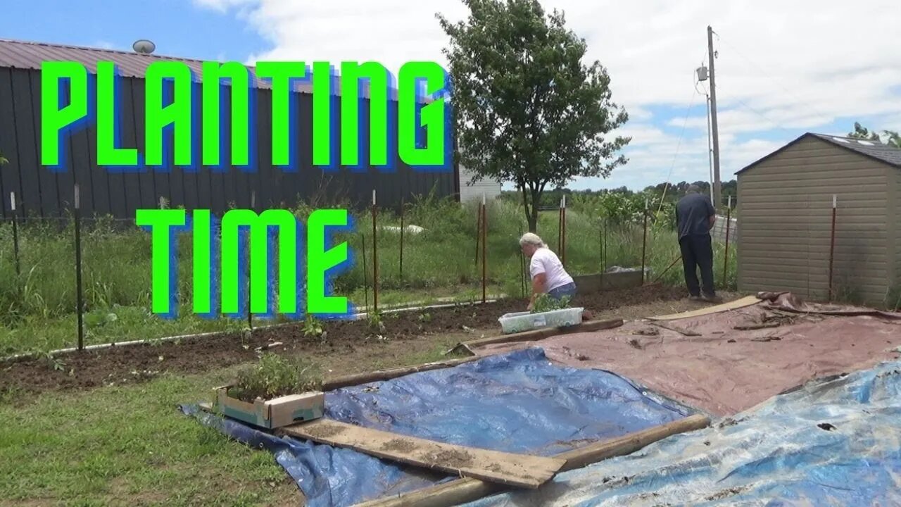 Prepping and Planting a New Garden Bed