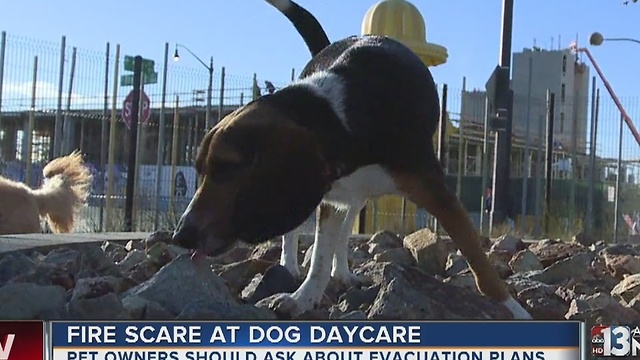 Fire scare at downtown Las Vegas dog daycare center