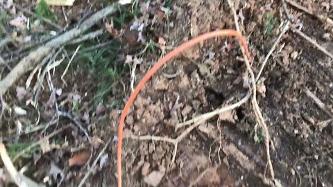 What You Do While Equipment Operators Work on Forestry Project