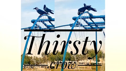#short #subscribe #thirstycrow