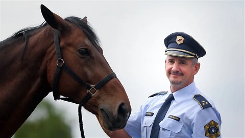 Rudi, konj hrvatskog podrijetla, završio je svoju službu u policiji u Ljubljani