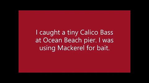 Ocean Beach Pier fishing! Bonito! Calico Bass! Mackerel! in 2016!