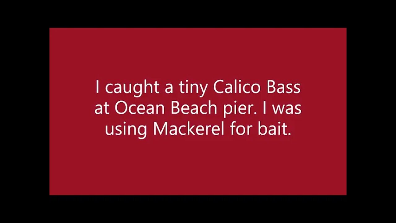 Ocean Beach Pier fishing! Bonito! Calico Bass! Mackerel! in 2016!