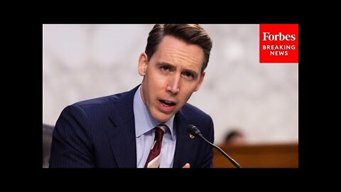 'Deeply Shocking' Josh Hawley Reveals Whistleblower Information About Disinformation Board