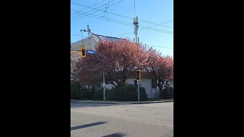 Sickening Tower in Residential Area